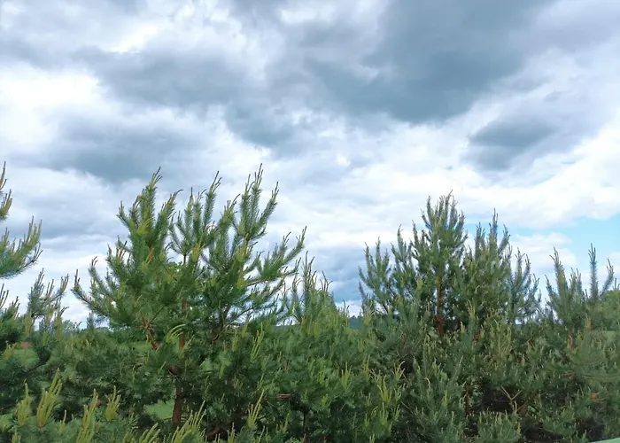 Chata Ostoja Karkonoska Podgórzyn